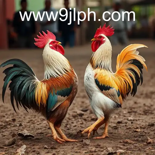 The Complex Tradition and Controversy of Cockfighting